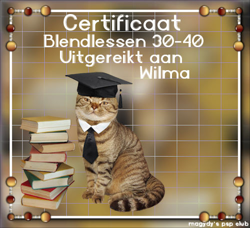 certificaat-30-40-W…