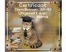 certificaat-30-40-Wilma-Magydy.jpg